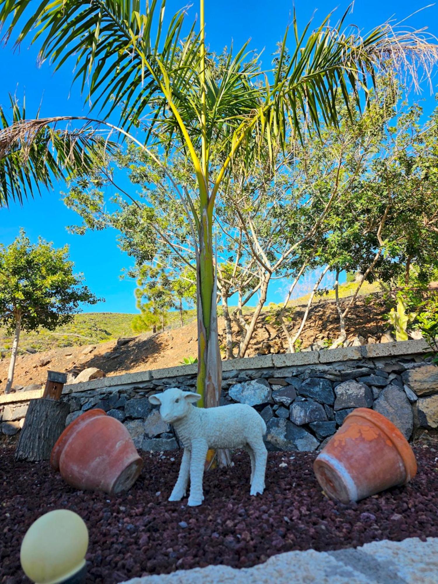 Villa Carlitos Costa Adeje  Esterno foto